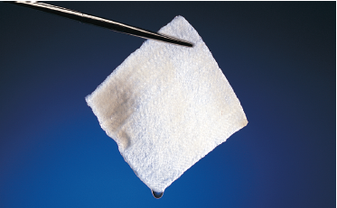 Sorbalgon® Dressing, 2 x 2 Inch