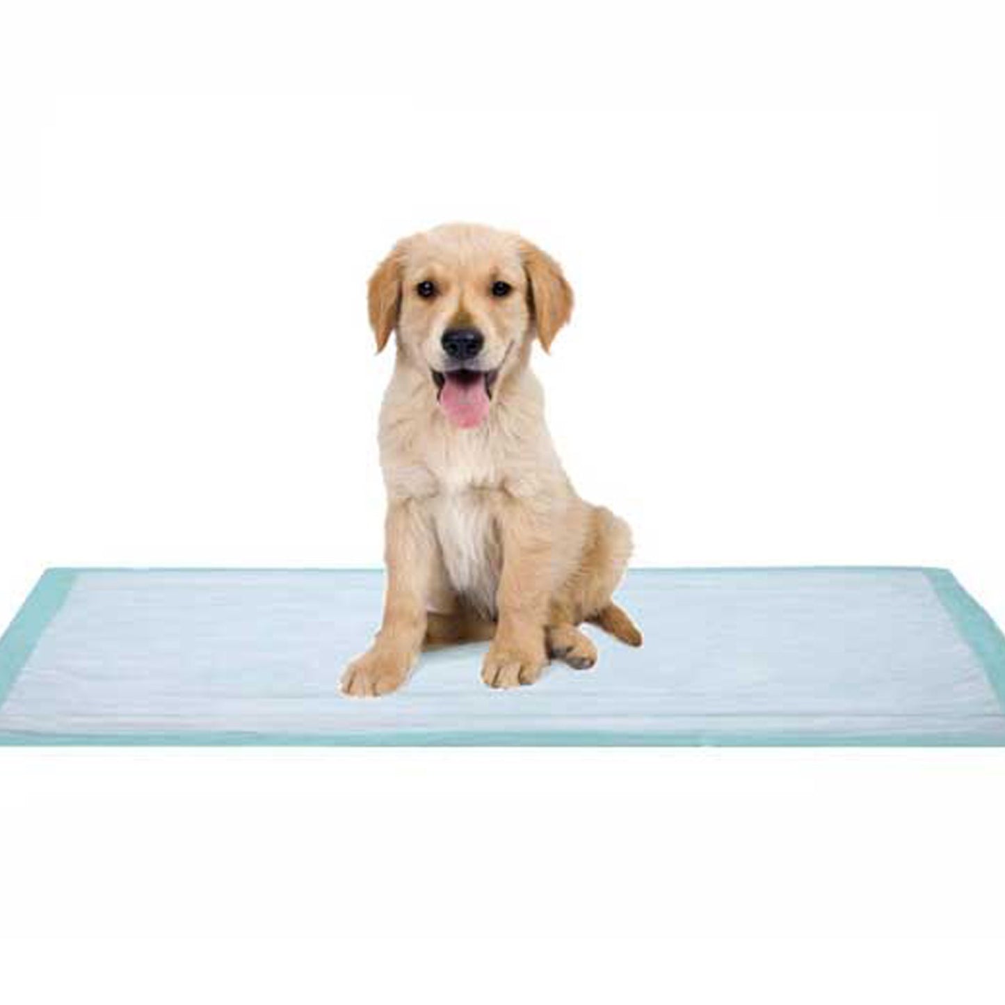 Dukal™ Fluff Underpad, 17 x 24 Inch