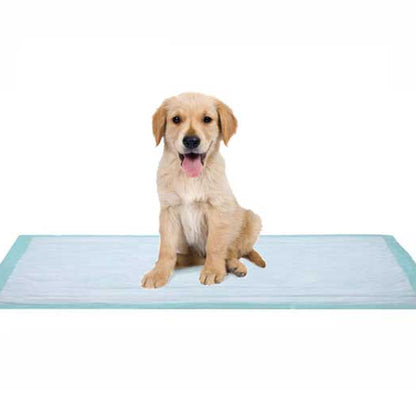 Dukal™ Fluff Underpad, 17 x 24 Inch