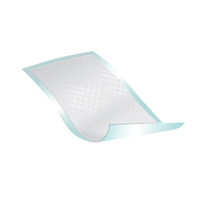 Passport™ Underpad, 22 x 35 Inch