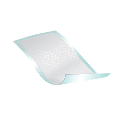 Passport™ Underpad, 22 x 35 Inch