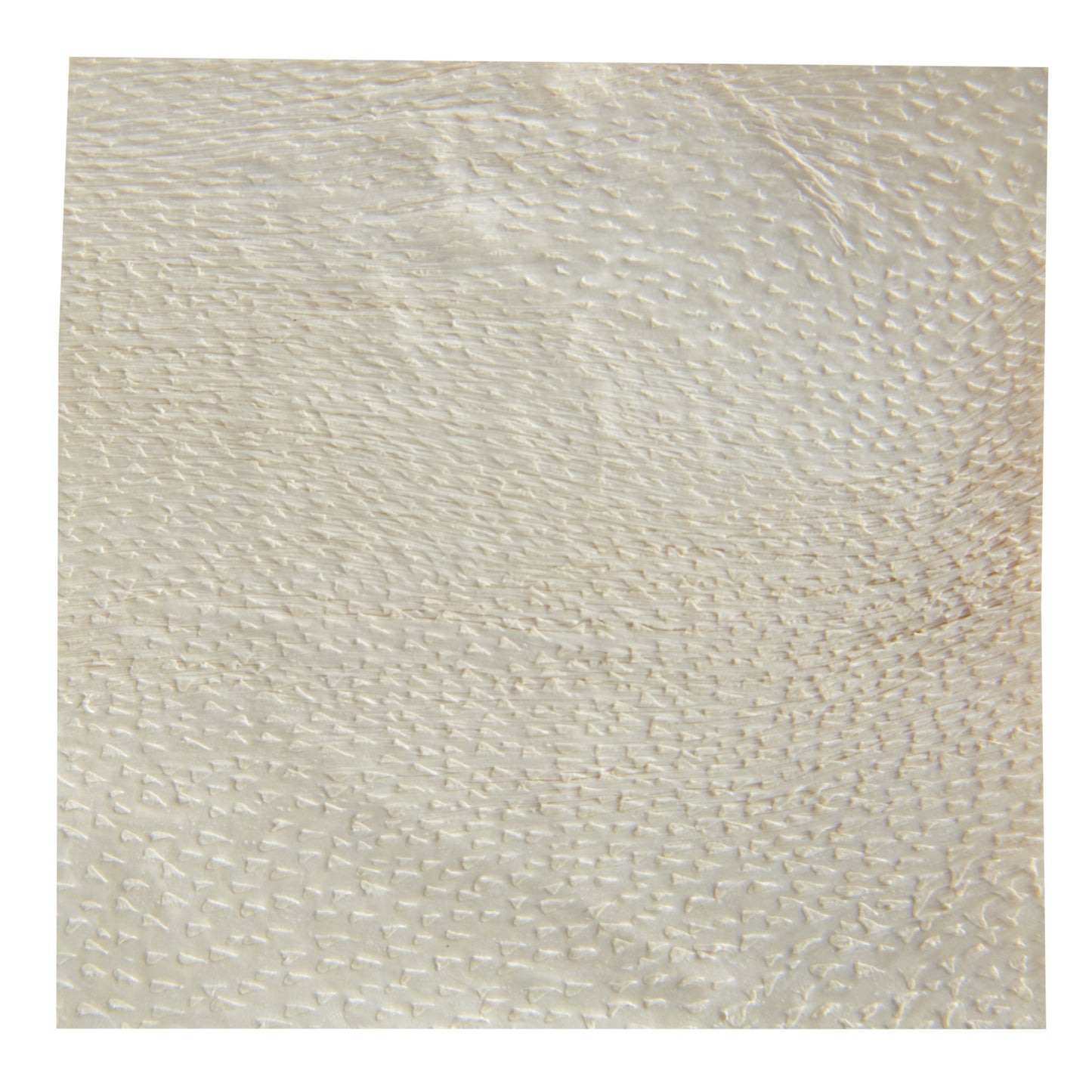 Endoform® Antimicrobial Silver Collagen Dressing with ECM, 2 x 2 Inch
