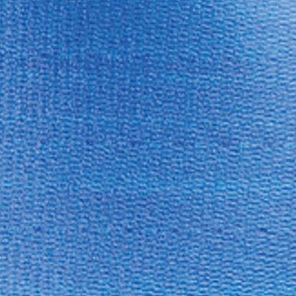 SkiL-Care™ PathoShield Gait Belt, Blue