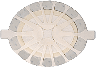 Tegaderm High Performance Adhesive Foam Dressing 8-3/4" x 7-1/2" Large Oval