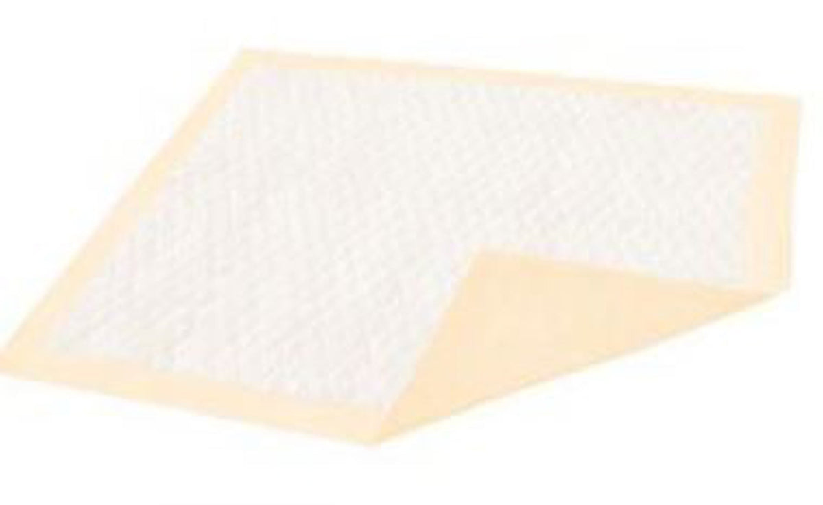 Dignity Plus Underpad 30" x 36" Latex-Free 10 Count