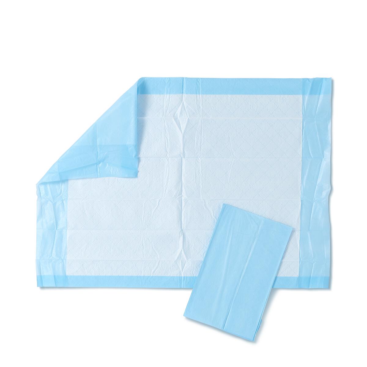 Absorbency Plus Disposable Underpads Moderate with Fluff/Tissue Fill 17" x 24" 300ct (Bulk Packaging) (Case of 300)