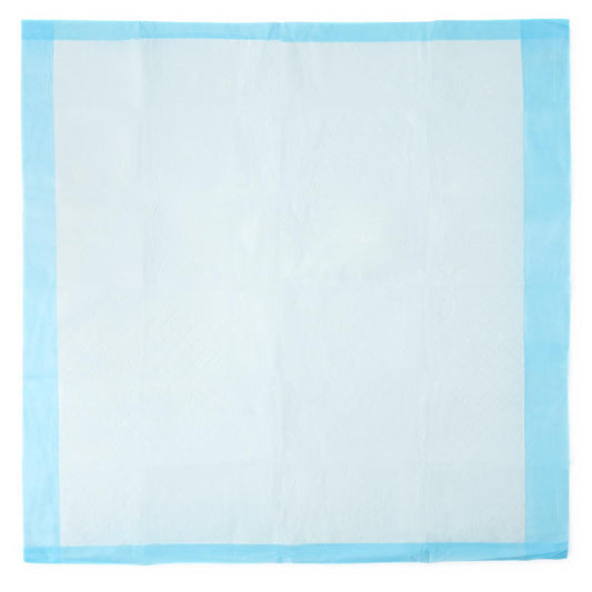 Absorbency Plus Disposable Underpads Light 30 x 30