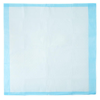 Absorbency Plus Disposable Underpads