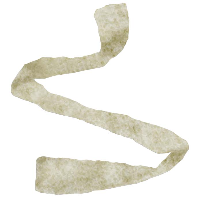 Algicell Silver Alginate Wound Dressing Rope 3/4" x 12"
