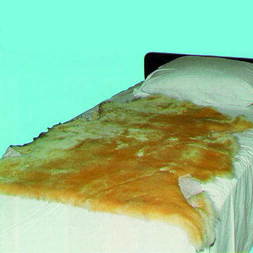 Sofsheep Sheepskin Pad 3'. x 2-1/2'. Beige