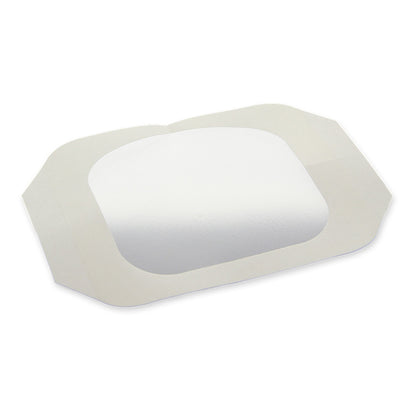 DermaView II™ Transparent Film Dressing with Border