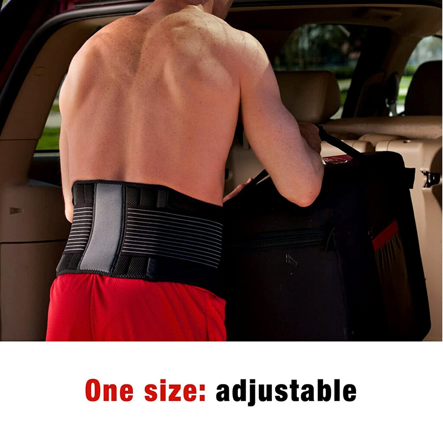 3M™ Ace™ Back Brace, Adult